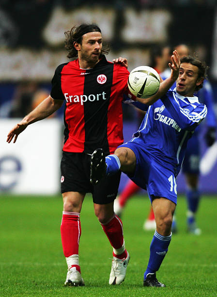 我还可以为 我还可以为